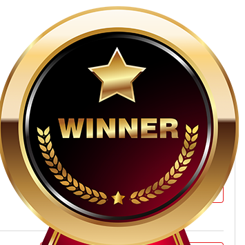 CNET Winner medal
